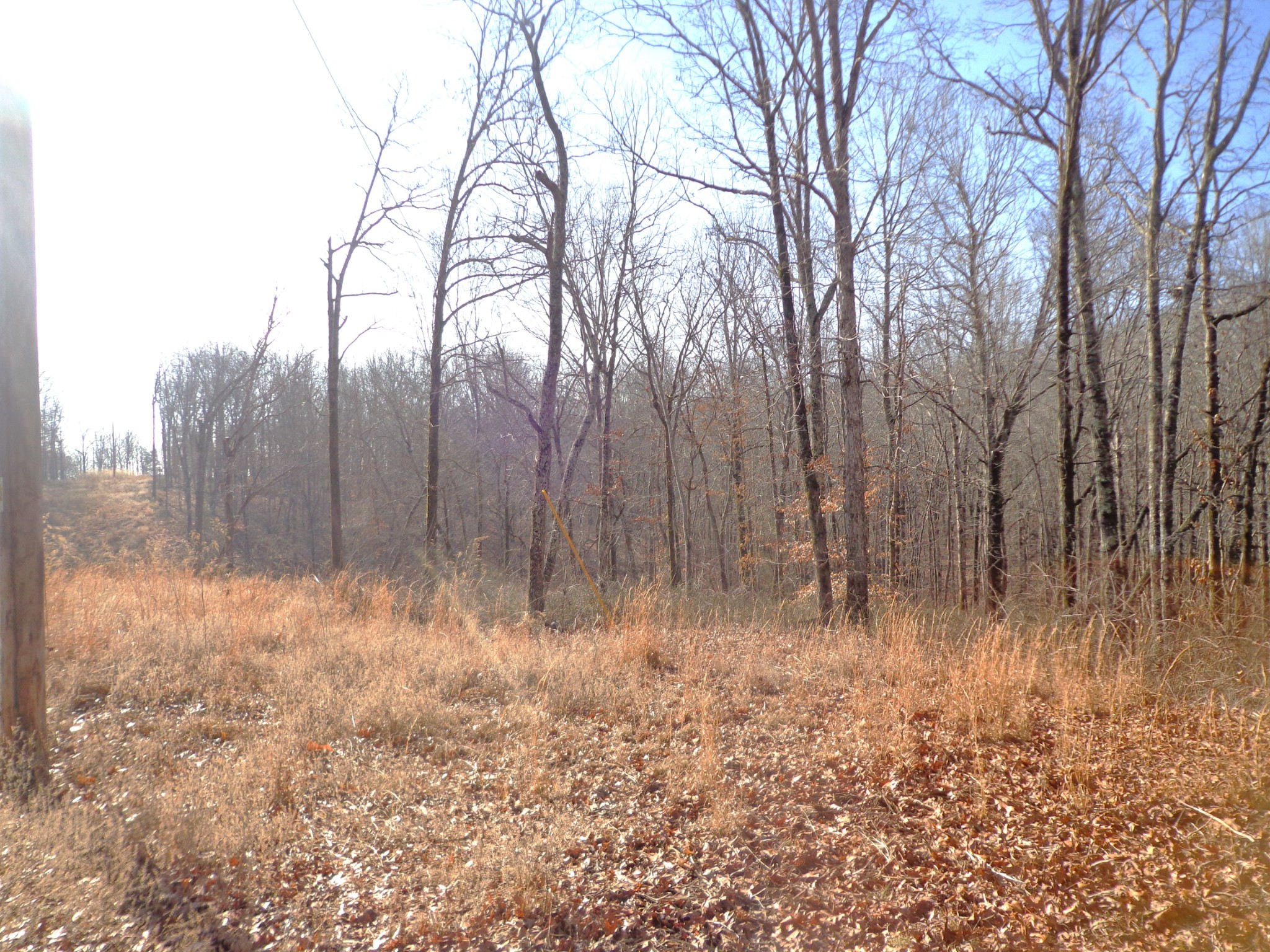 0 Deer Grass Ln