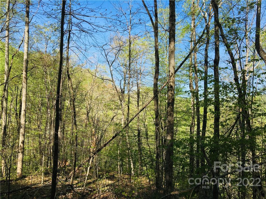 19 Trillium Lane 19