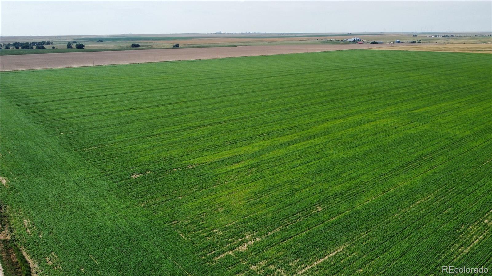 320 acres of excellent level dry land crop land near Genoa, Colorado. This tract is productive and has excellent access. An excellent investment for farming or recreation.

Mostly level farm with great access, north of Genoa. The land has county road access on 3 sides. The farm consists of Class 3 Weld Silt Loam and class 4  Fort Collins-Platner Loam soils.

Hunting opportunity includes Mule Deer, Antelope, Coyote and Fox, in addition to small game and birds. The property would make an awesome recreational getaway.

One third of the farm is in growing millet, one third in wheat stubble, and one third is summer fallow ready for your fall planting. With a quick closing, if before harvest, the seller would give up the millet crop to the buyer. There is also baled wheat hay in the field that is negotiable.  The farm is cropped in a feed, wheat, summer fallow rotation.

The area receives about 16 inches of annual precipitation and over 250 days of sunshine. The area is known for its abundance of large High Plains dry land farms. The farm is ideal for expanding your current farm, or getting a start, or investment in an investment grade farm with plenty or area tenant farmers available.

Genoa is located east of Limon, Colorado along I-70 and is a dry land farm area with productive farms and local farm services. There are  plenty grain elevators and grain buyers in the area. Limon Colorado is located 12 miles west on I-70 and offers restaurants, groceries, fuel, farm stores, hotels and various services. Denver International and the Denver metro area are 96 miles west of Genoa.