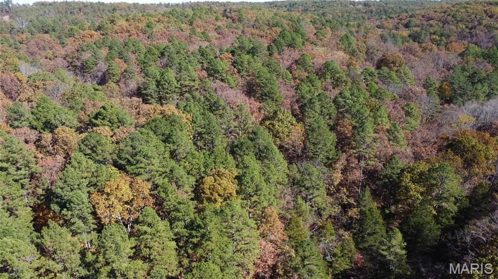 10256 Christina Trail