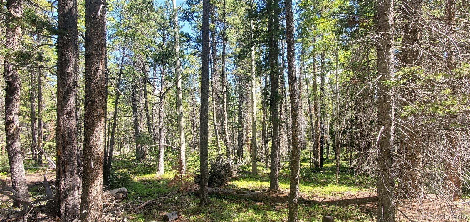 Lot 2914 Forbes Loop