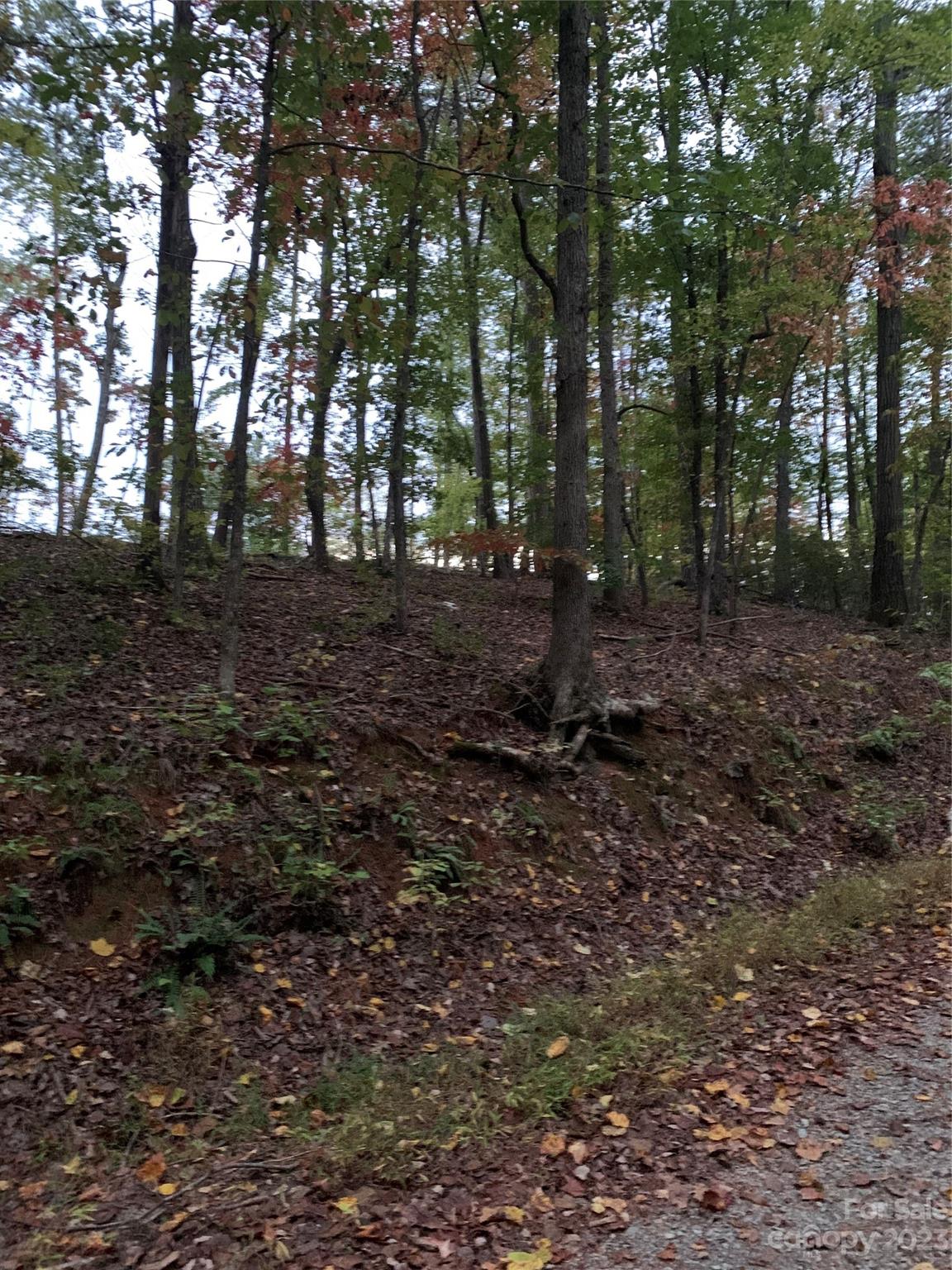 0 Beechwood Court