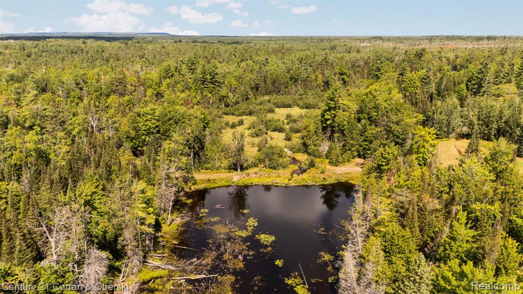 Rare opportunity to own a 440-acre private retreat just minutes from Black Lake. This property offers miles of groomed trails, a cold-water creek running through, and a private pond with observation gazebo. Multiple hunting blinds and abundant wildlife make it a turnkey destination for recreation or sportsman use. A large pole barn provides excellent storage for equipment and outdoor gear.The 4-bedroom home is designed for comfort and entertaining. Features include a spacious great room with fireplace, main-floor primary suite with walk-in closet, new updated kitchen, and walk-out basement with additional sleeping quarters. The second floor offers two bunk rooms ideal for hosting family and friends.Outdoor living is highlighted by a wrap-around deck, Hot Springs hot tub, and an  outdoor kitchen space —perfect for gatherings after a day on the trails.Whether used as a hunting lodge, recreational getaway, or legacy estate, this Northern Michigan property combines privacy, acreage, and modern amenities in one remarkable package.