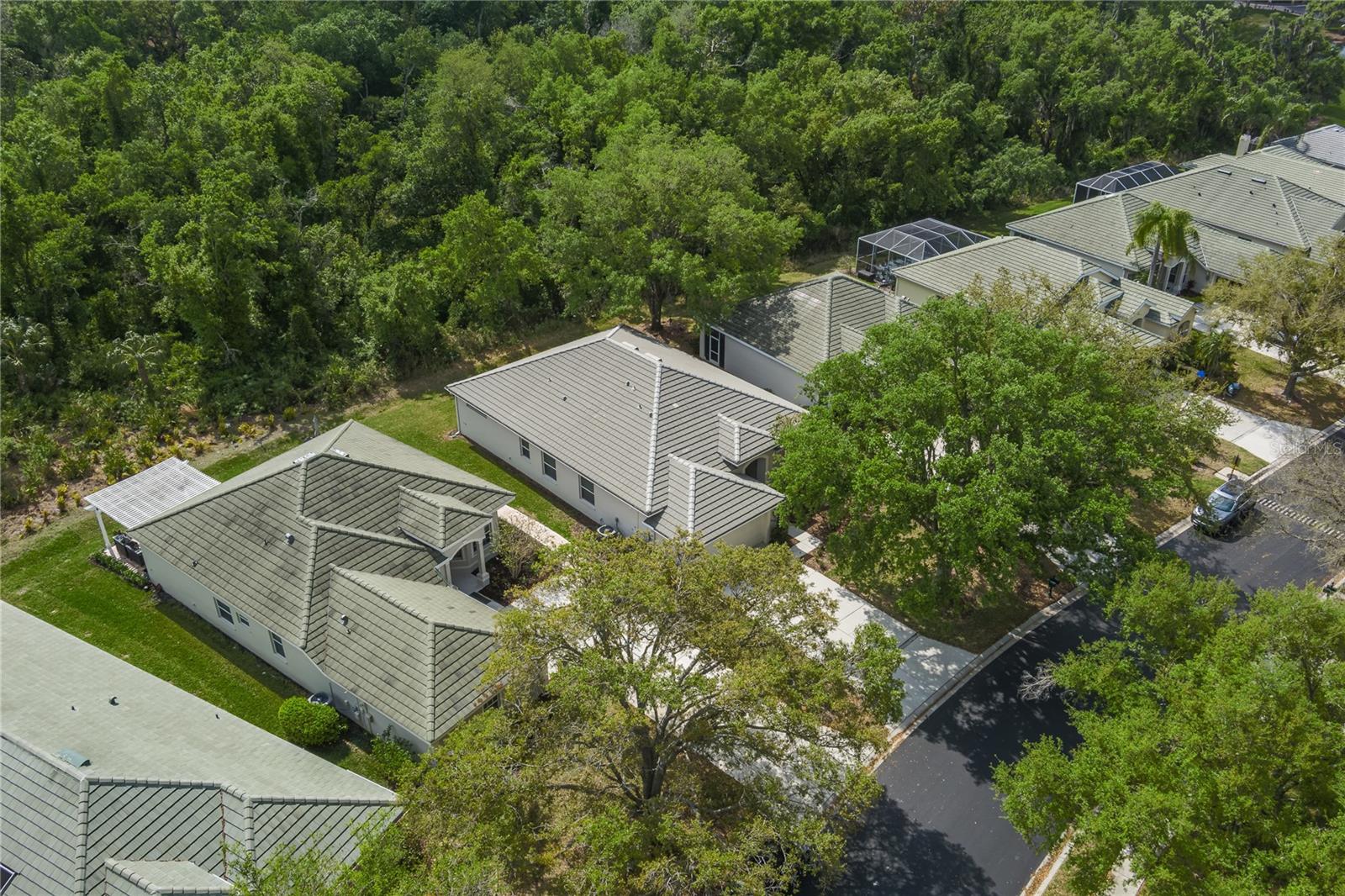 3208 Woodland Fern Drive