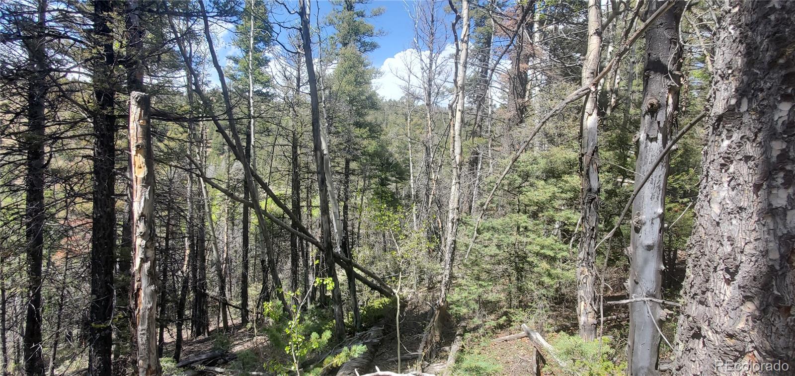 Lot 5610 Dawson Road