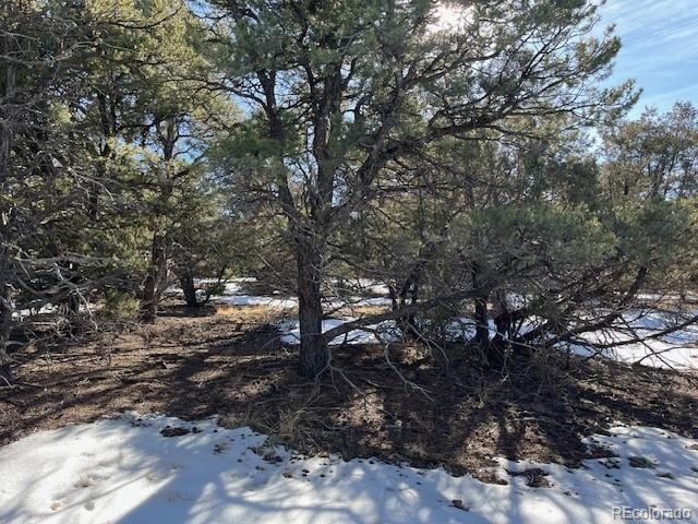 209 Blanca Place