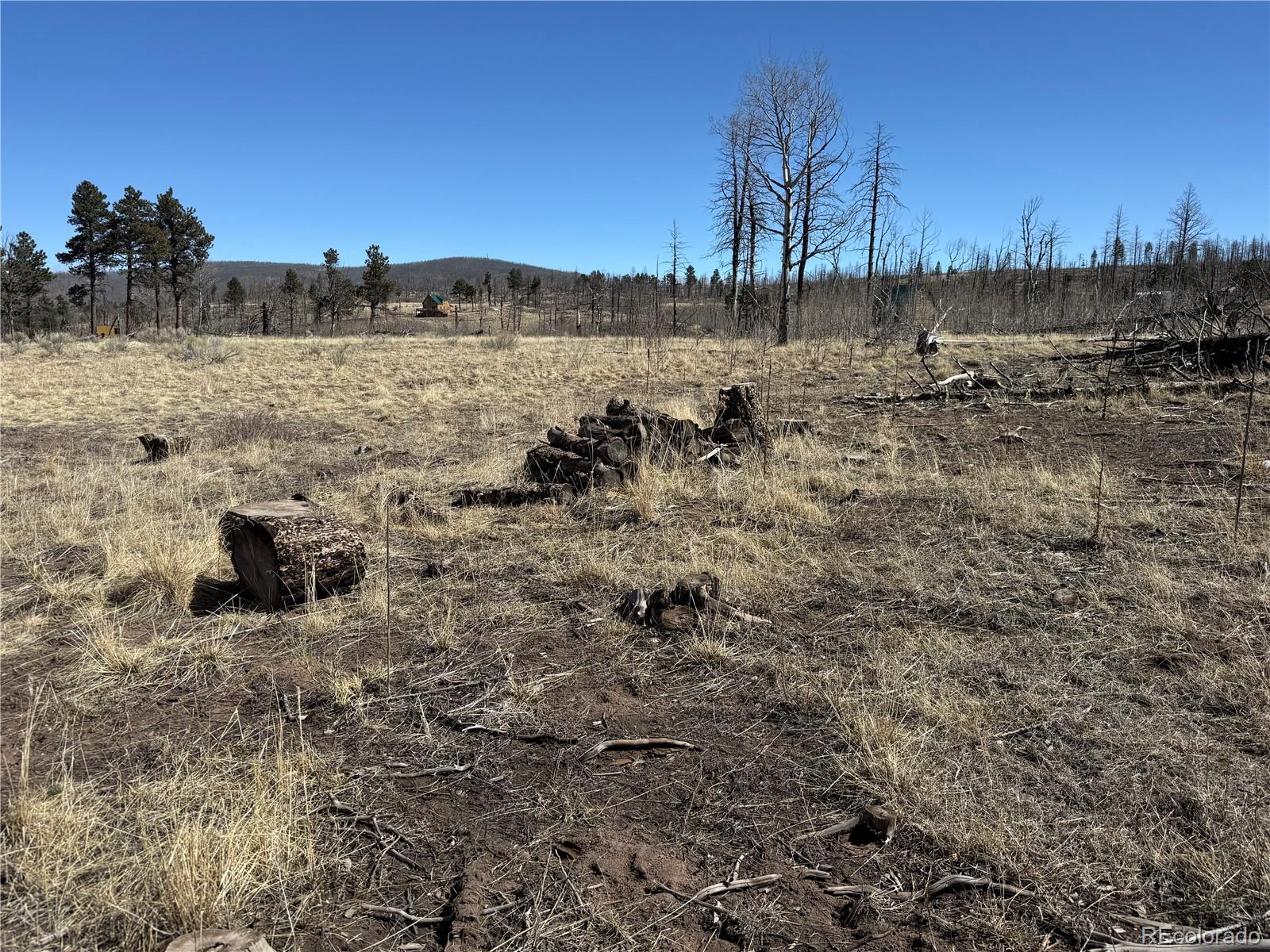 Lot 999 Foy Place