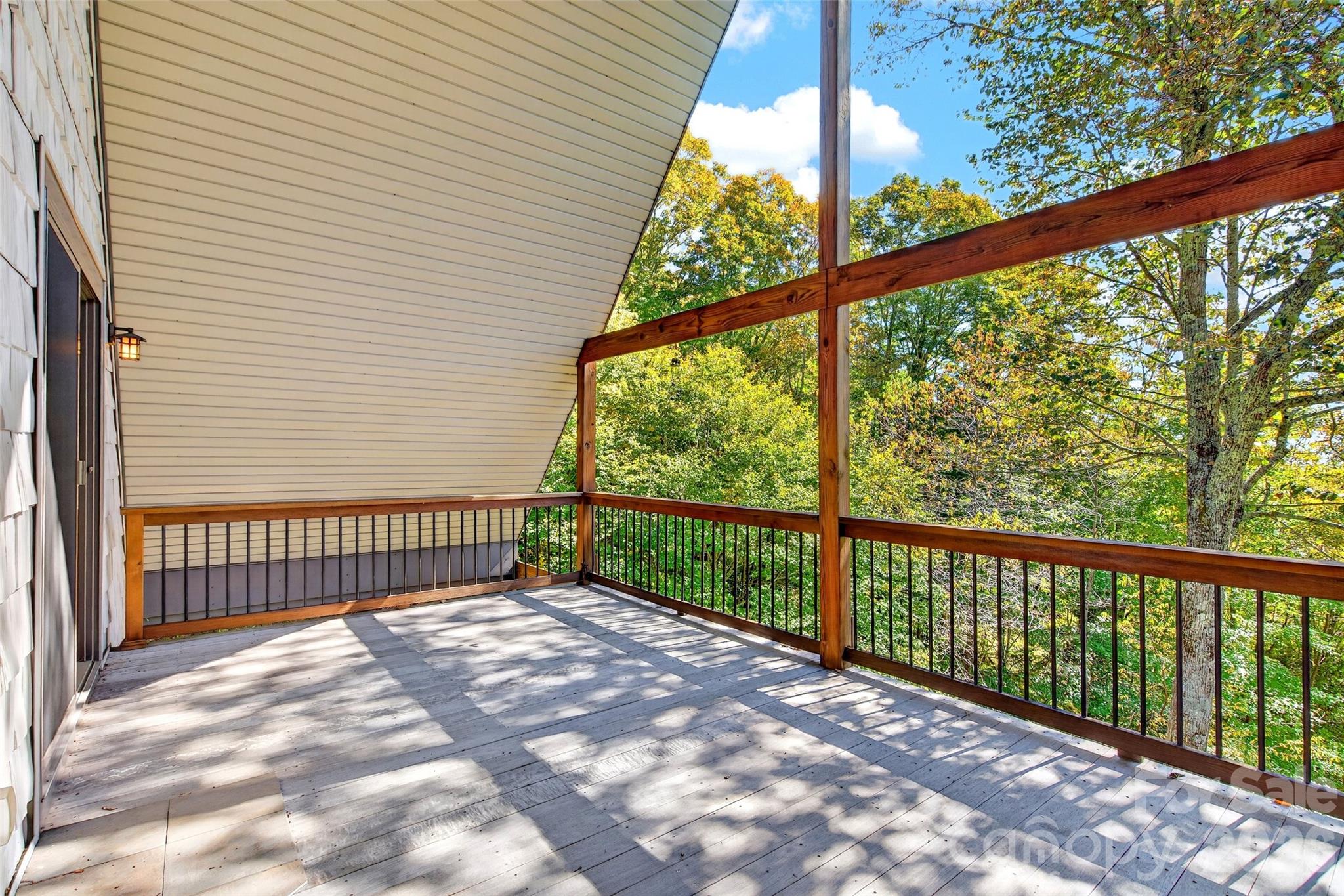 155 Mule Trail Drive