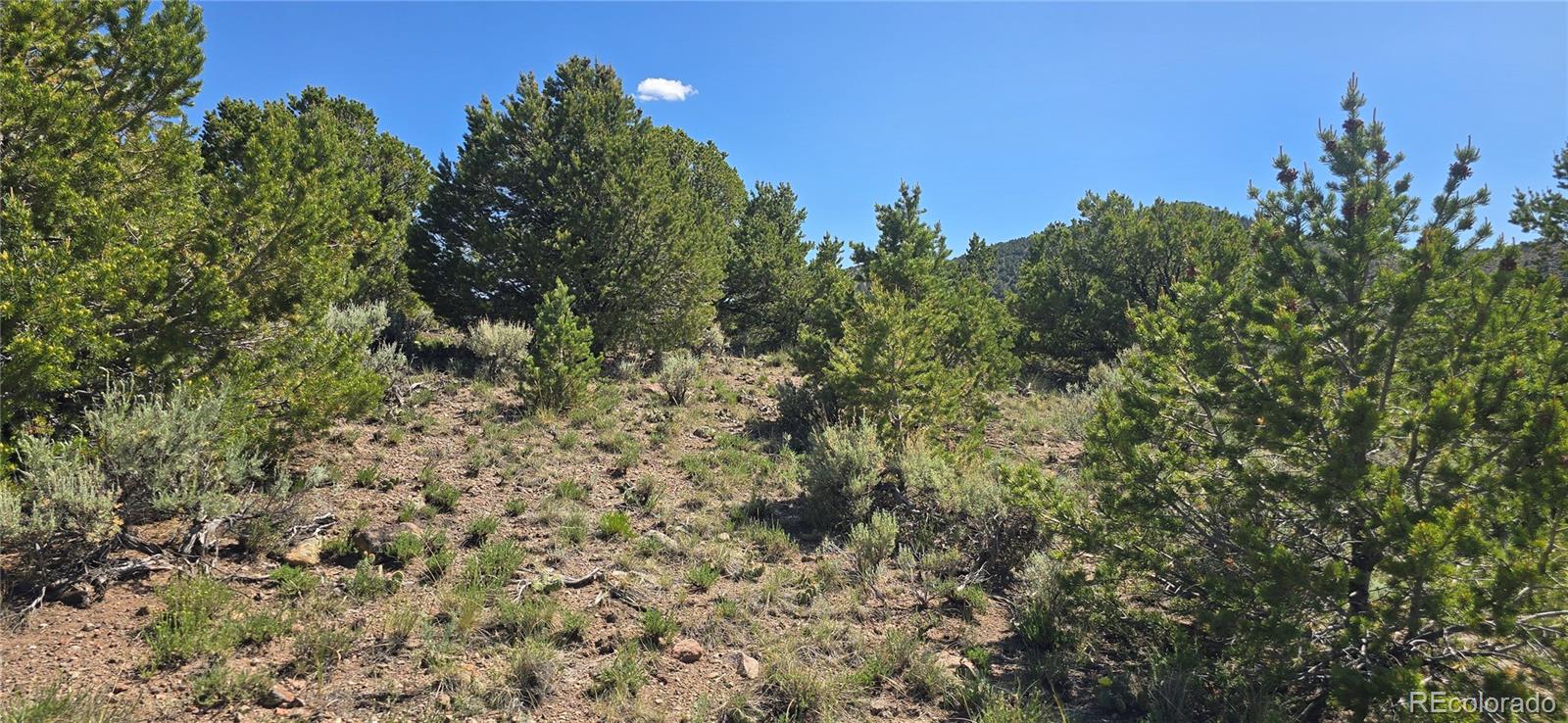 Lot 4618 Beekman Road
