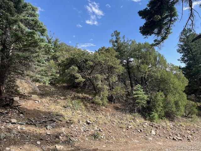314 Arrastre Road
