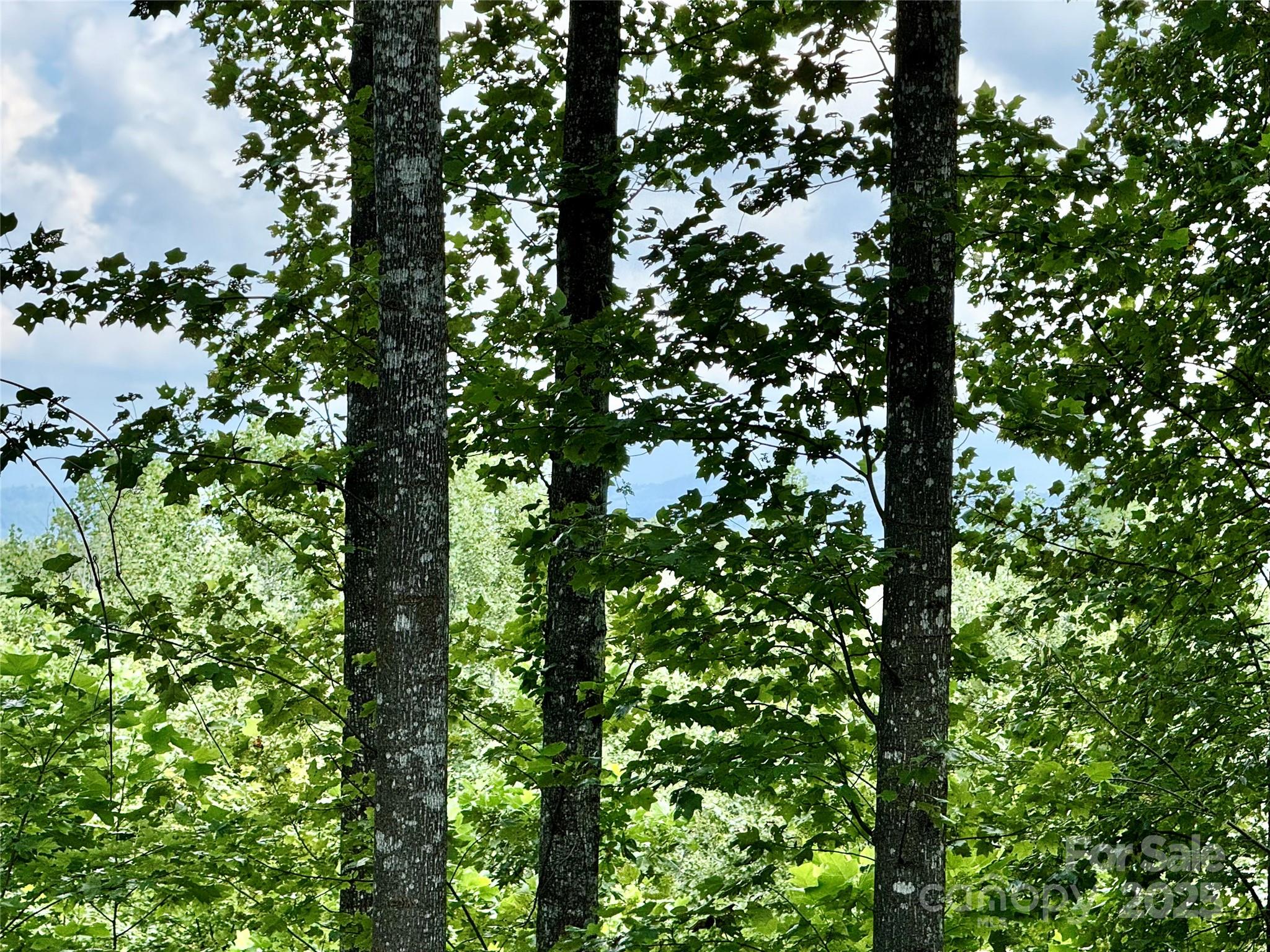 2.01 acres, Lot 971 Soaring Top Lane 971