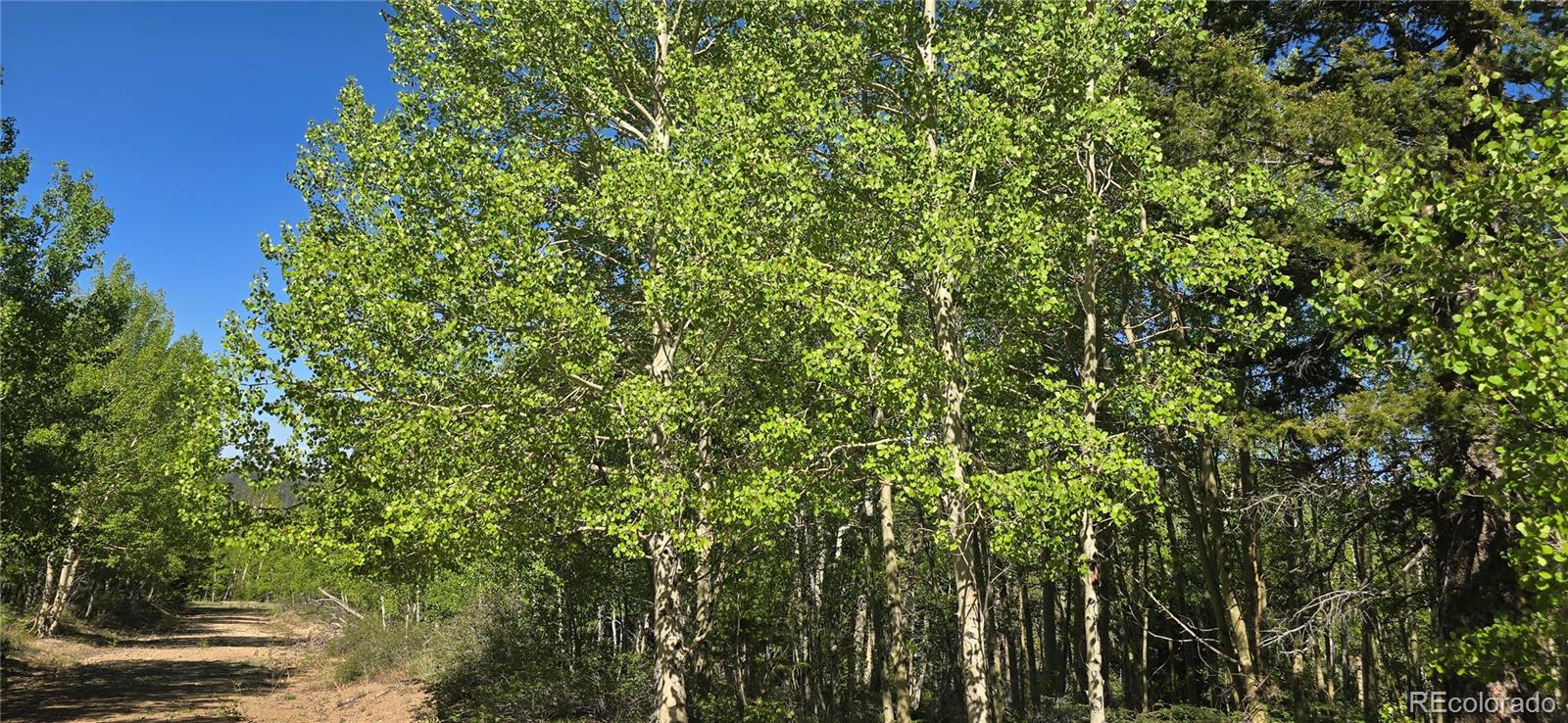 Lot 6708 Debbie Road