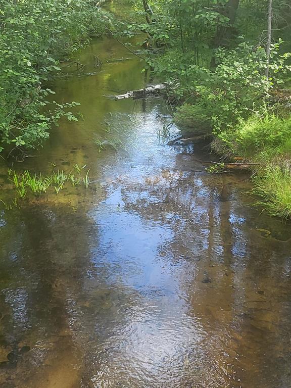 The Ultimate Up North Escape Ã¢â‚¬" 40 Acres of Pure Michigan Wilderness! This is the kind of property people dream about Ã¢â‚¬" a gorgeous, heavily wooded 40-acre square parcel with Vaughn Creek peacefully winding through it. Whether you're looking to hunt, fish, camp, or just get away from it all, this land offers the perfect blend of privacy and natural beauty. Highlights include: Mature hardwoods and pines throughout Deer, turkey, and fish abound Ã¢â‚¬" a sportsmanÃ¢â‚¬â„¢s paradise Vaughn Creek meanders through the property, adding natural charm and habitat Adjoins hundreds of acres of federal land on two sides Ã¢â‚¬" and more just across the road! Ideal for building a cabin, off-grid living, or a secluded getaway Older well Whether you're exploring the woods, watching wildlife, or enjoying the peaceful sound of the creek, this property offers untouched tranquility and limitless potential. DonÃ¢â‚¬â„¢t miss your chance to own a true piece of Northern Michigan wilderness.