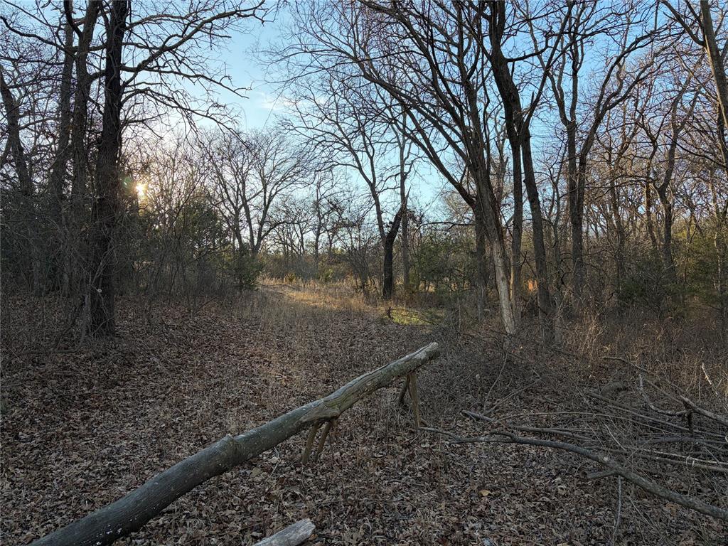 Quiet country living on this 2.5 acres (mol) blank canvas, ready to make your own. This property has many mature trees providing privacy from the road and neighbors and has no deed restrictions, providing the option to move in a manufactured home or build your own dream home! Property already has well and septic with OEC electric and paved road access. Come make this property your new home!