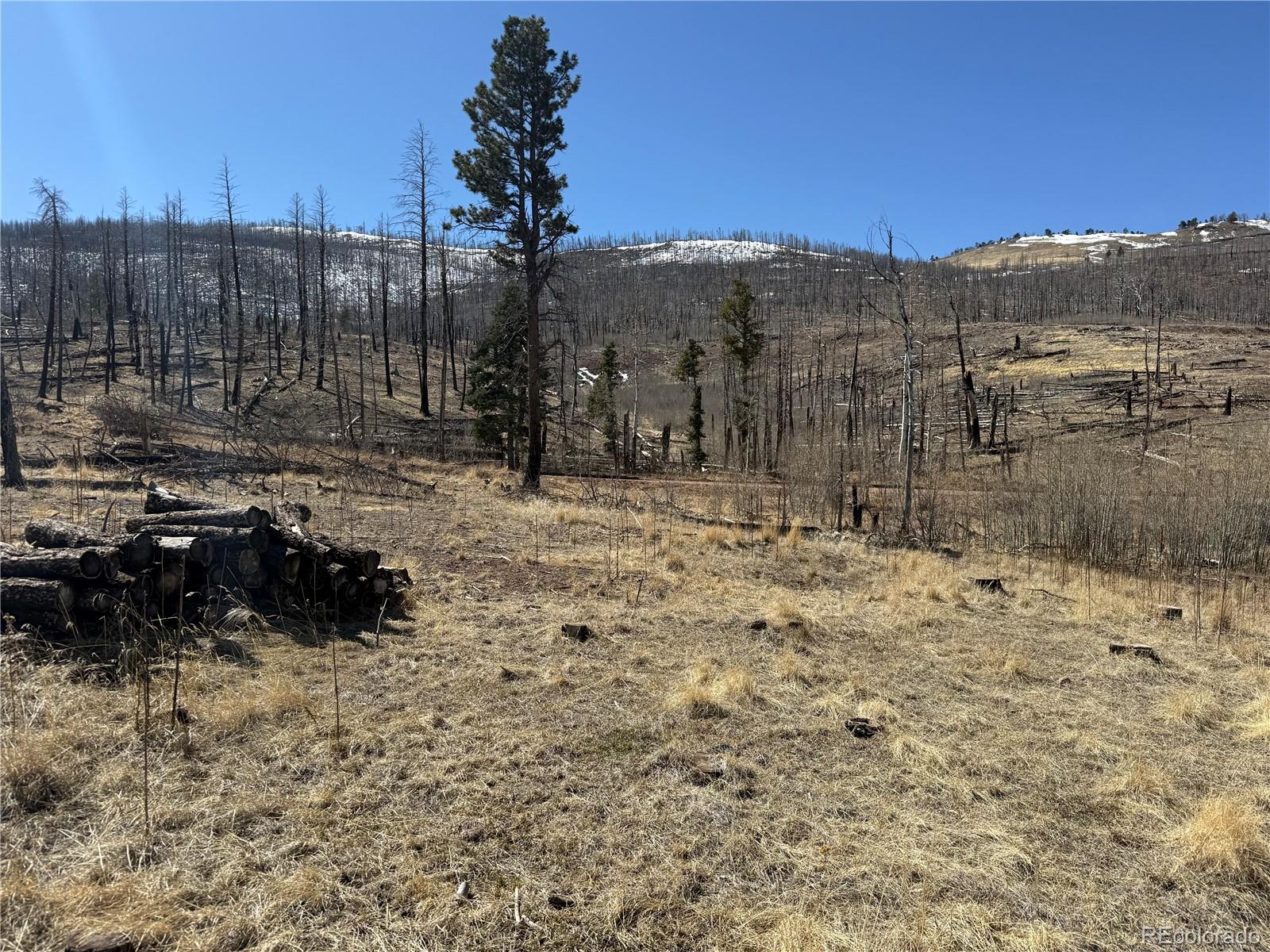 Lot 999 Foy Place
