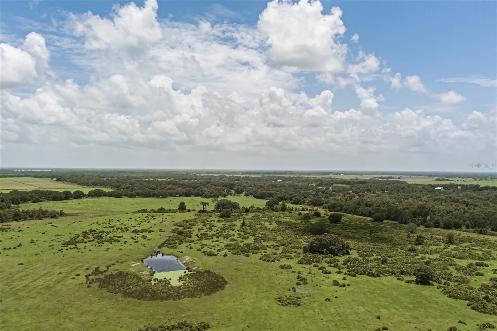 43355 Clay Gully Road