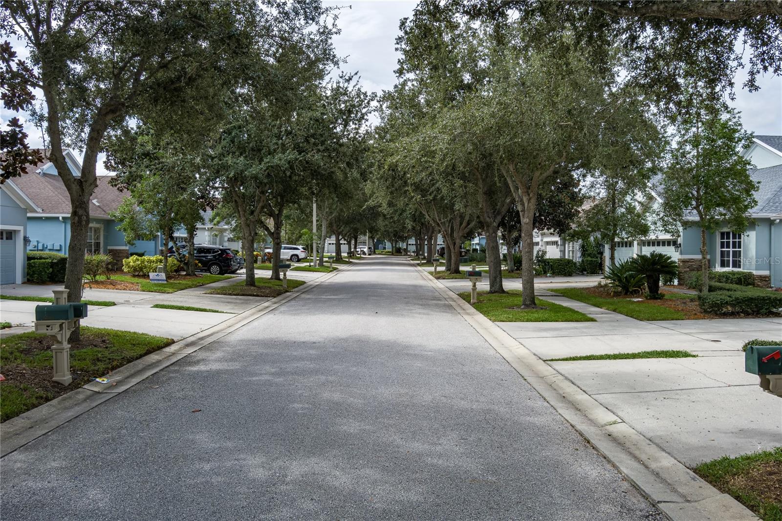 6936 Surrey Oak Drive