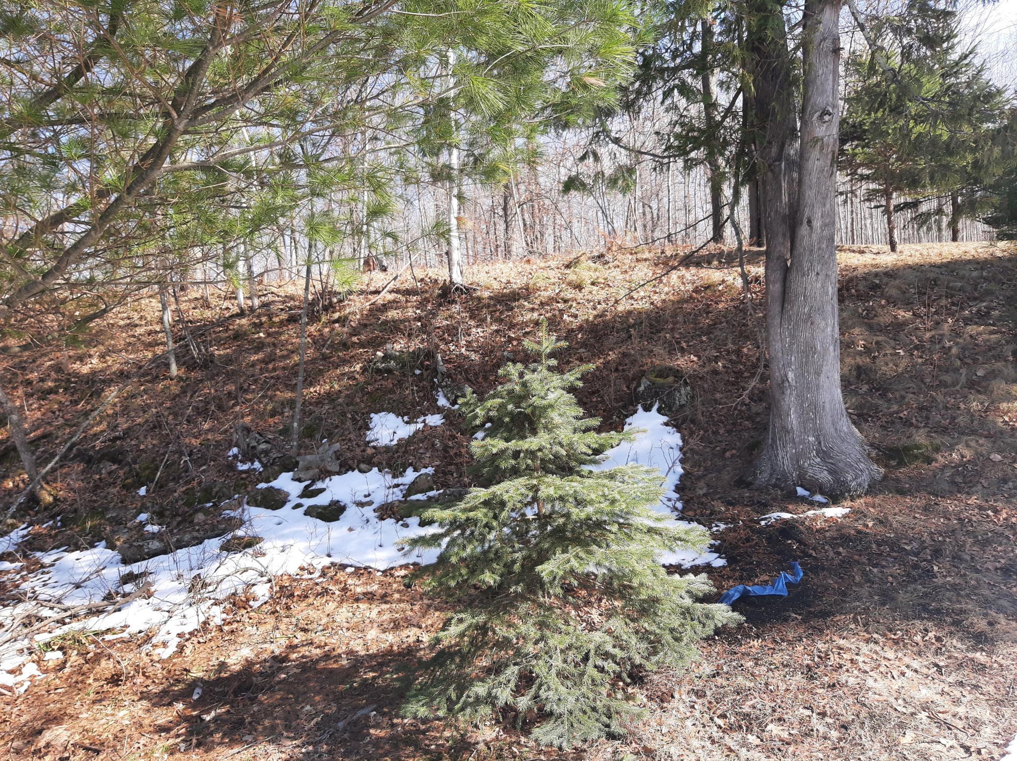 TBD Washburn Bay Trail NE