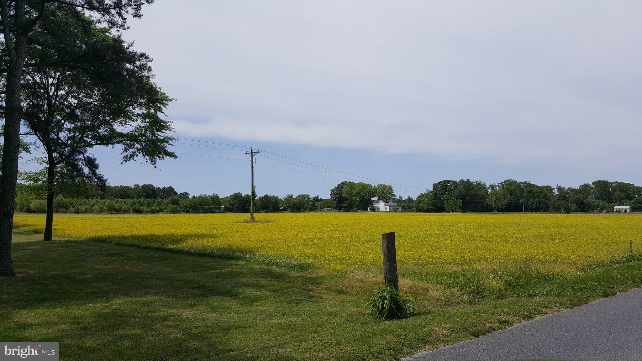 Two adjoining parcels (Account 15‑006269 with 34.50 acres and Account 15‑006277 with 25.62 acres) combine for a total of 60 acres on West Post Office Road. The property features a barn, fenced pastures, and wide‑open land suitable for agricultural, equestrian, or future development use. Foreclosure REO. Contact listing agent for full details.