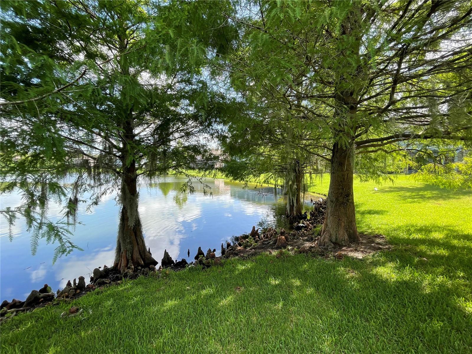 2432 Caravelle Circle