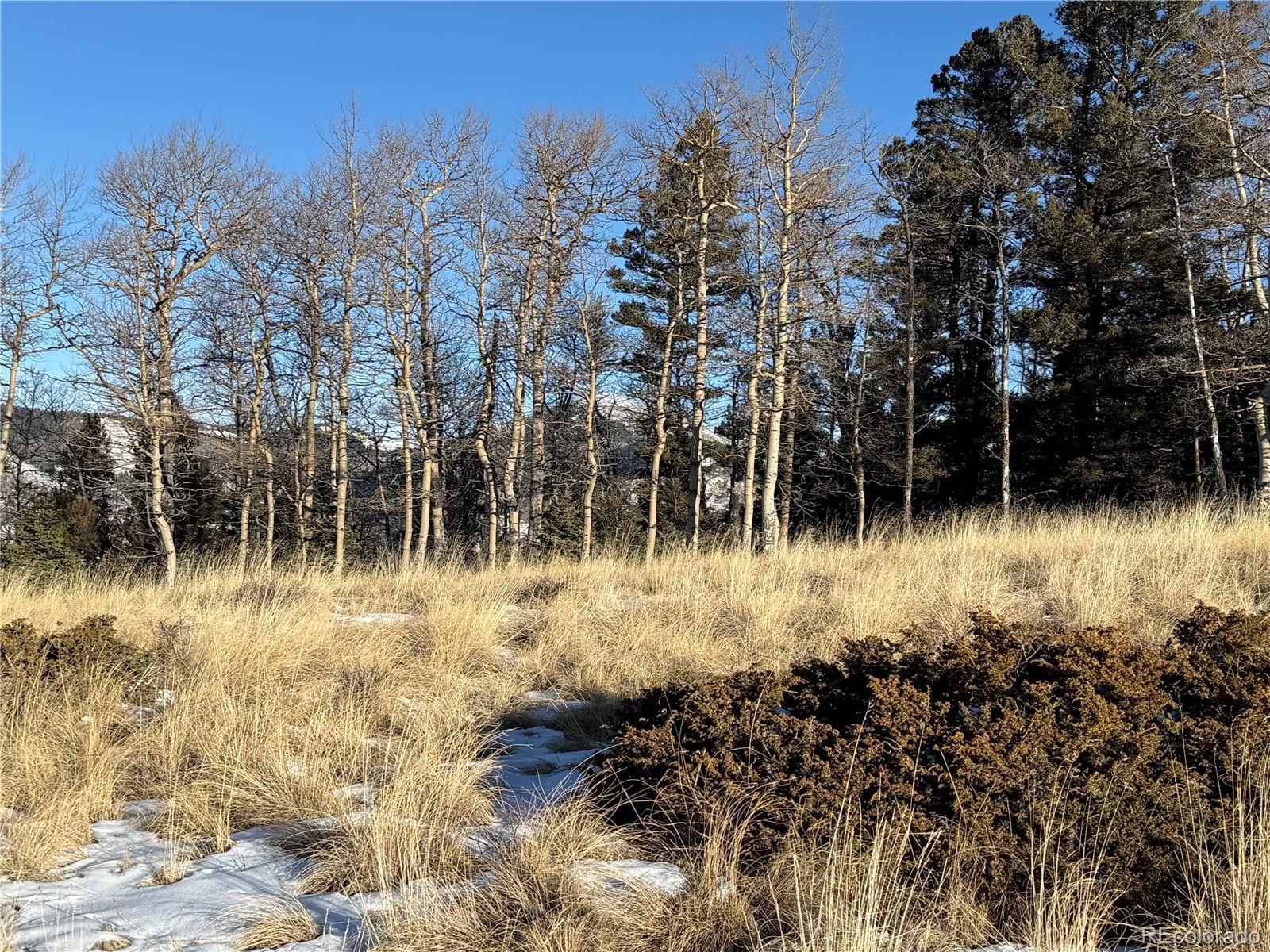 Lot 499 Collinson Drive