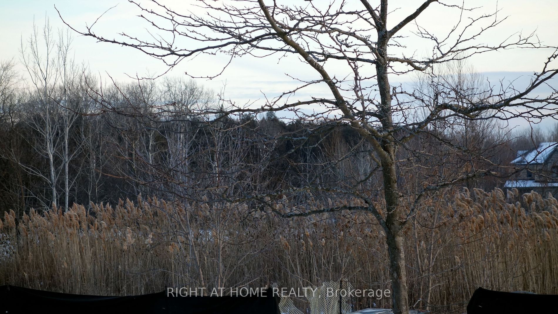 97 Florence Dr Upper