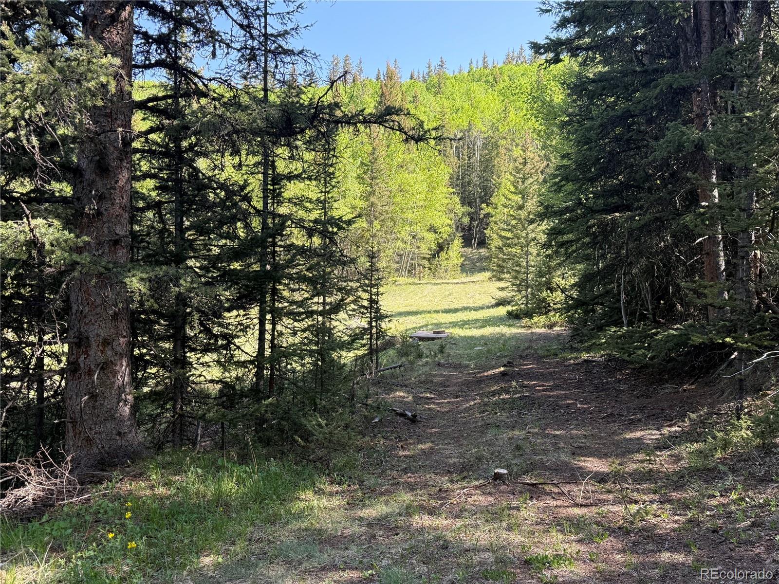 Lot 6843 Ryland Road