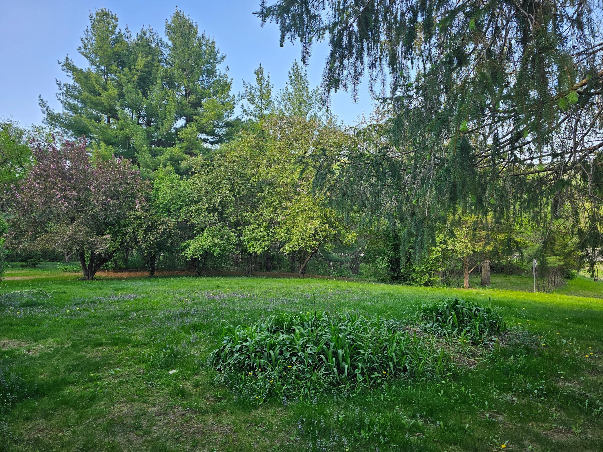 146 Green Spring Road