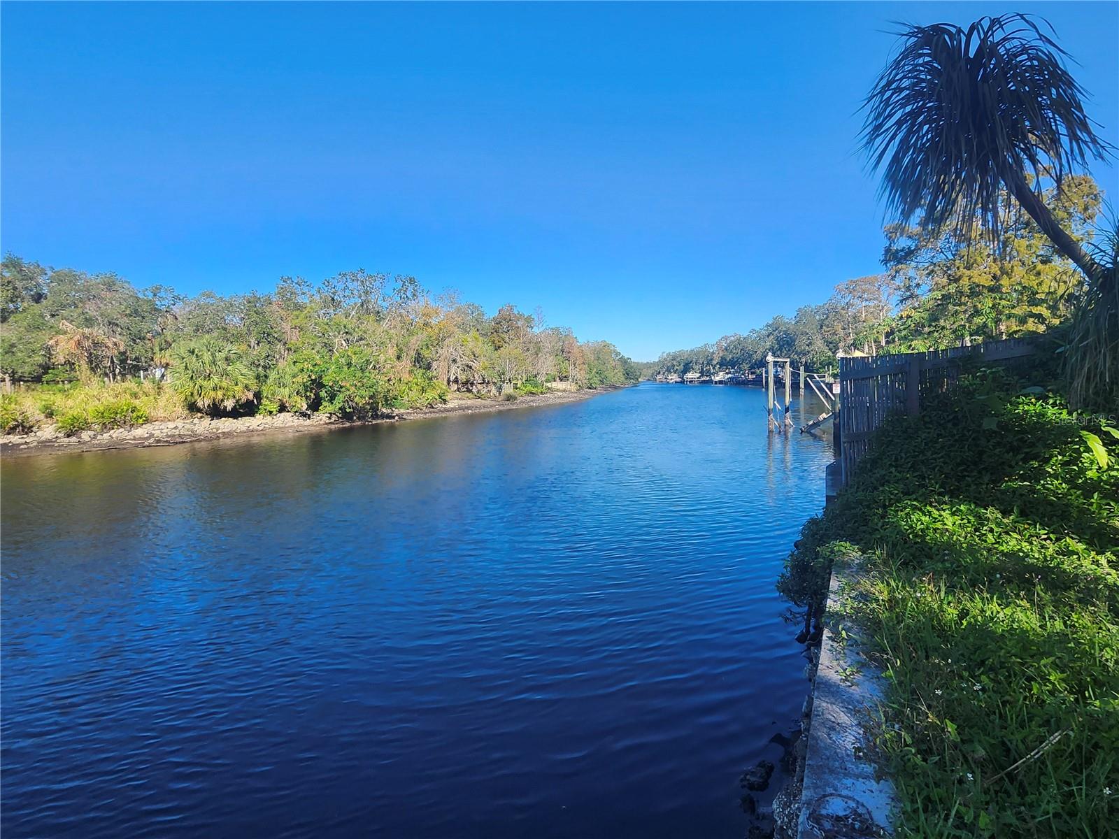 Rare Hillsborough River Two buildable platted lots.  Currently there are 2 Homes, one is a Handyman with a second home currently rented.  Gated Fenced Compound.  142 feet of waterfront across from Lowry Park, so NO across the river homes. "".  "Come build your dream home and a secondary guest house or build your dream home and sell off the other buildable lot"... 200-foot-deep lot with large home and 2nd in law home or guest house.  Wide private back yard with bamboo and trees and no across the river neighbors.  .85 acres. Perfect lot for a high-end builder, speculator or homeowner with huge expectations.  Corporate Owned Property.  Seller has never seen or occupied property.  All contract offers must include attached Sellers Standard Addendum.  All offers should be net to the seller.
