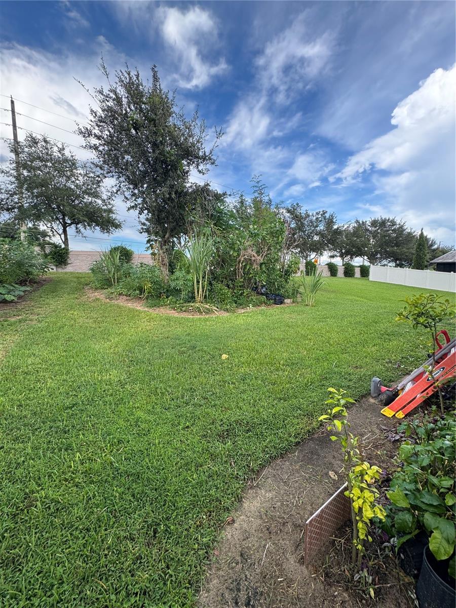 3538 Heart Pine Loop
