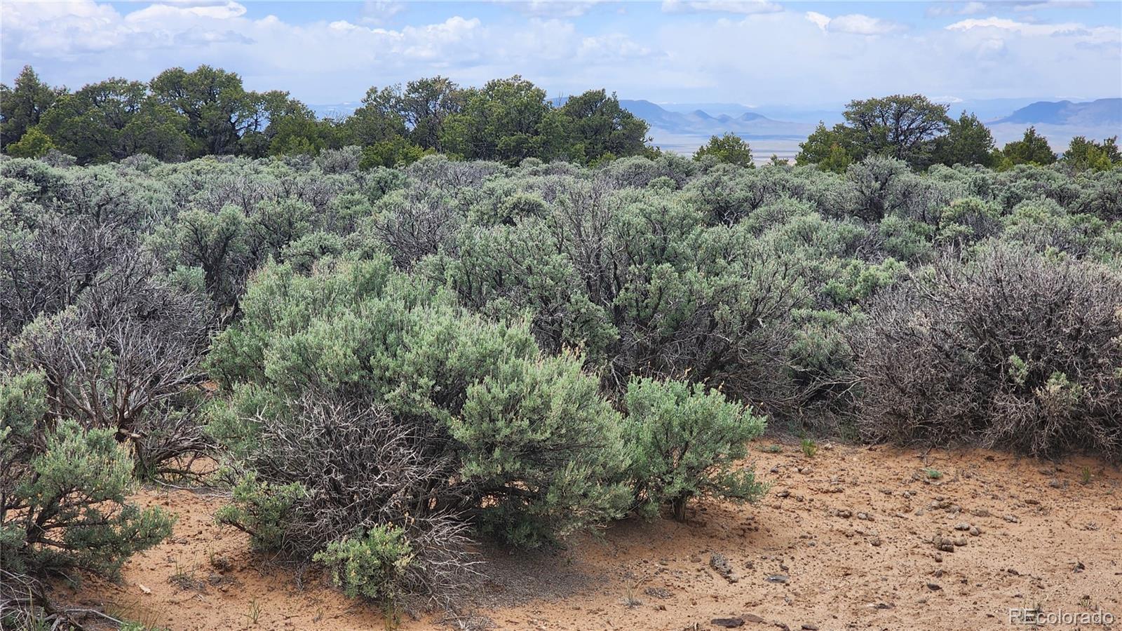 Lot 26 Alta Mesa Drive