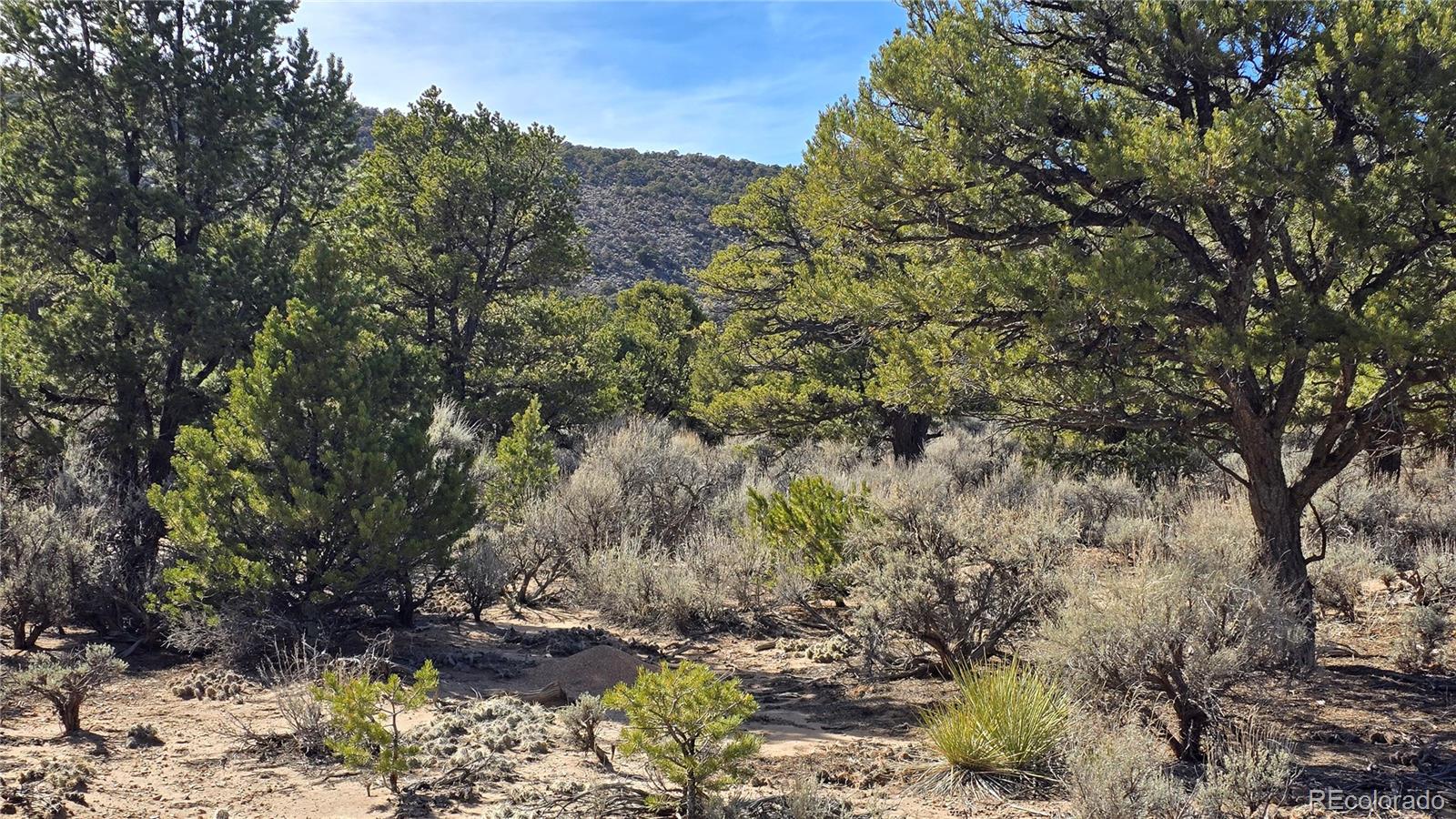 Lot 409 Williams Road