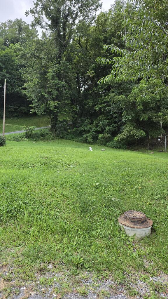 Vacant in-town lot ready for you to build your dream home! This cleared property features access to electricity, public water, and public sewer, making it the perfect site for your new construction. Convenient location with utilities available and ready for development.