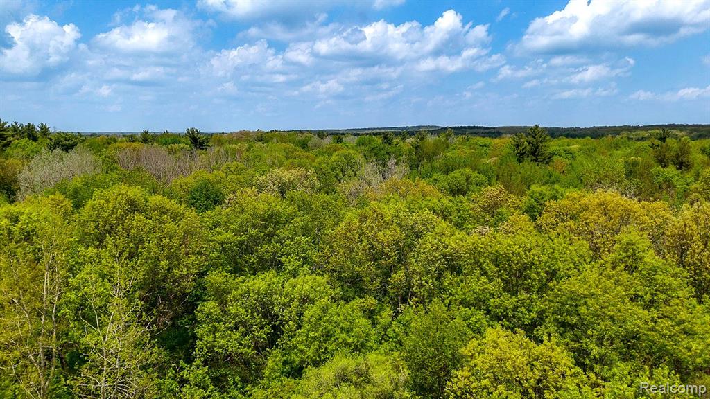 Developers and investors are regularly seeking this type of land.  With over 32 acres of wooded rolling hills, this property is at the direct end of two developed streets in Brandon/Ortonville.  (Michael Street and Zarieda Street, just north off East Glass Road.  This could be developed into an extension of Michael and Zarieda, or has potential of coming in straight from M-15 if joined with neighboring vacant land.  Incredible location for residential housing, condominiums or apartments.  Showings must be scheduled by appointment.   There are no signs but is easy to locate.    This might be perfect for that person looking for a new home with secluded privacy.  Be sure to watch the video, which is included, in this listing.