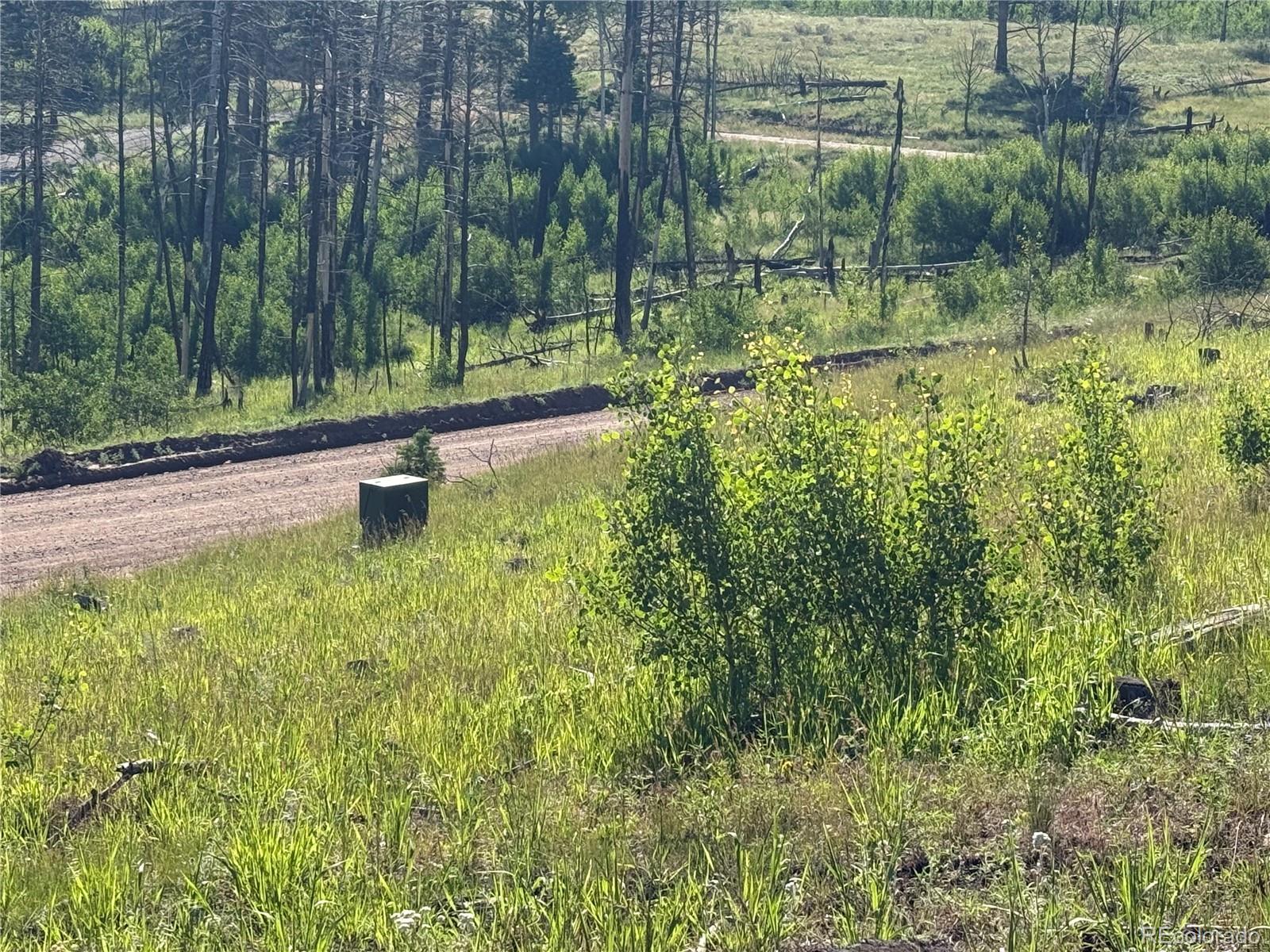 Lot 775 Forbes Park Road