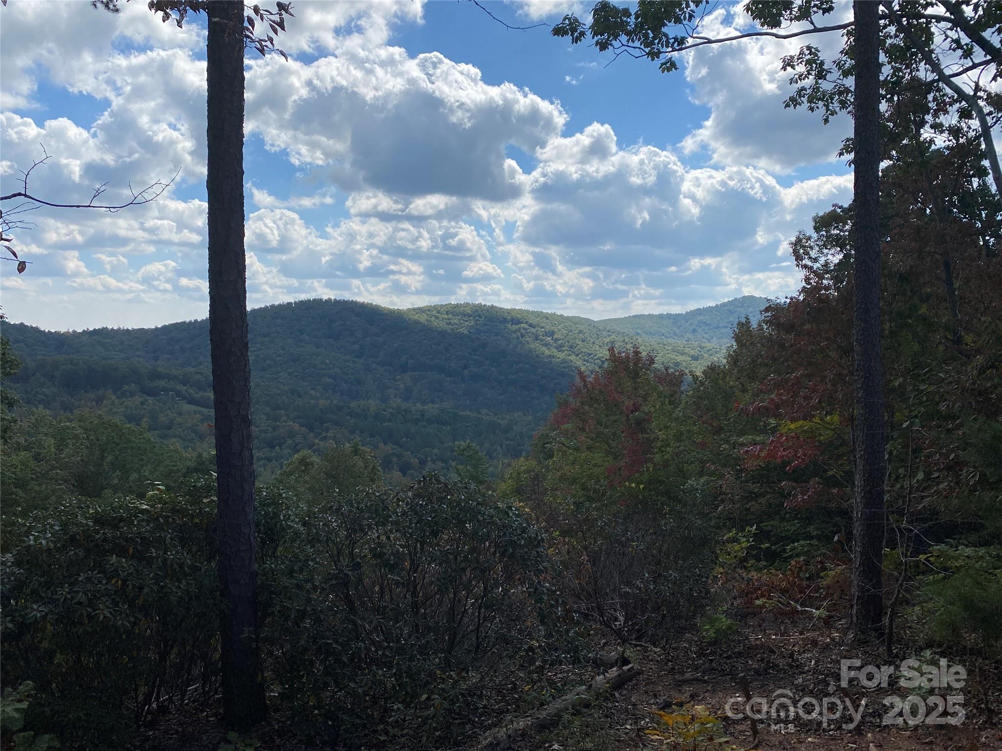 61 Scenic Vista Drive 238