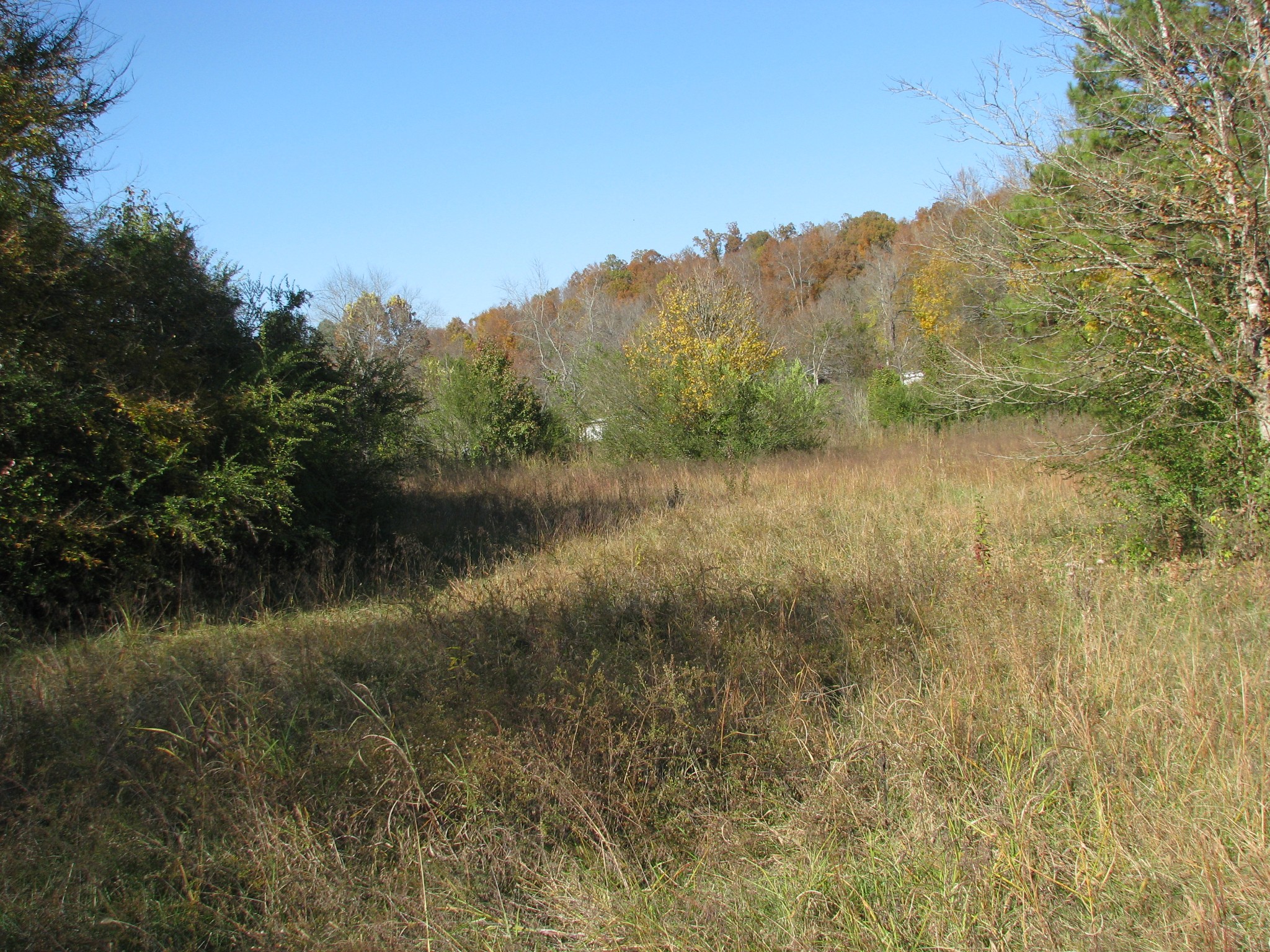 199 Spann Loop