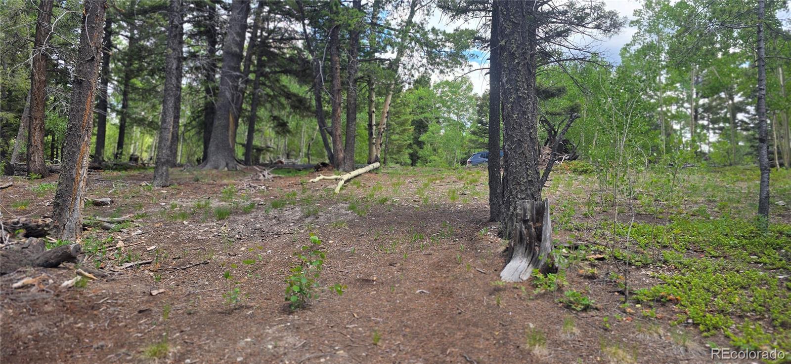 Lot 5778 Balleroy Road