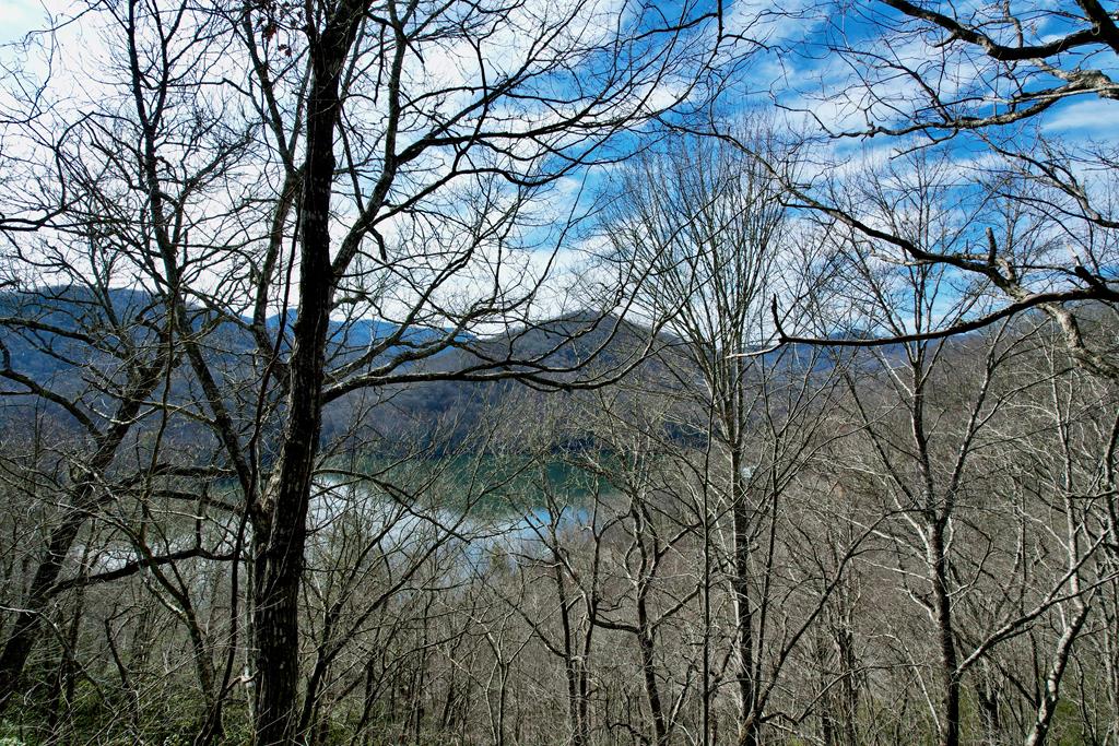 Enjoy stunning views of Lake Nantahala from this fantastic spot for your mountain escape. With super easy access and no need for 4WD, it's perfectly convenient. The property is close to great local attractions like Lake Nantahala, Nantahala Gorge, and several trout streams, plus it has community water available.