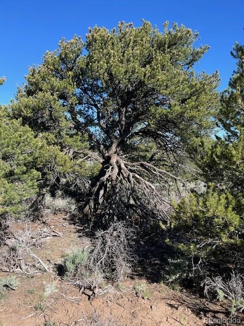 Lot 4 Elk Park Road