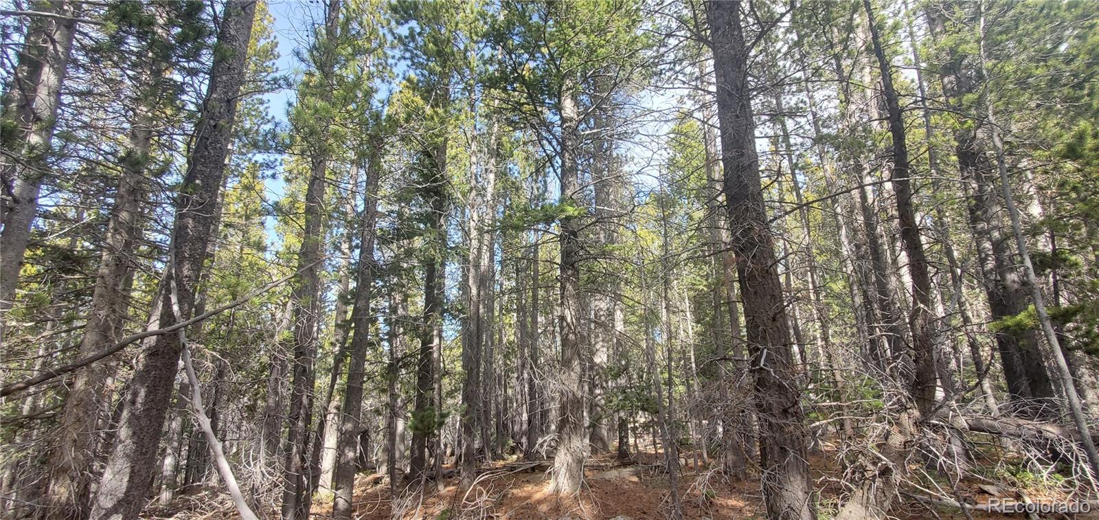 Lot 3246 Zipf Lane