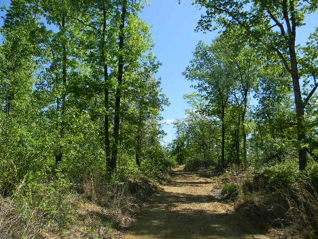 0 Ogden Road