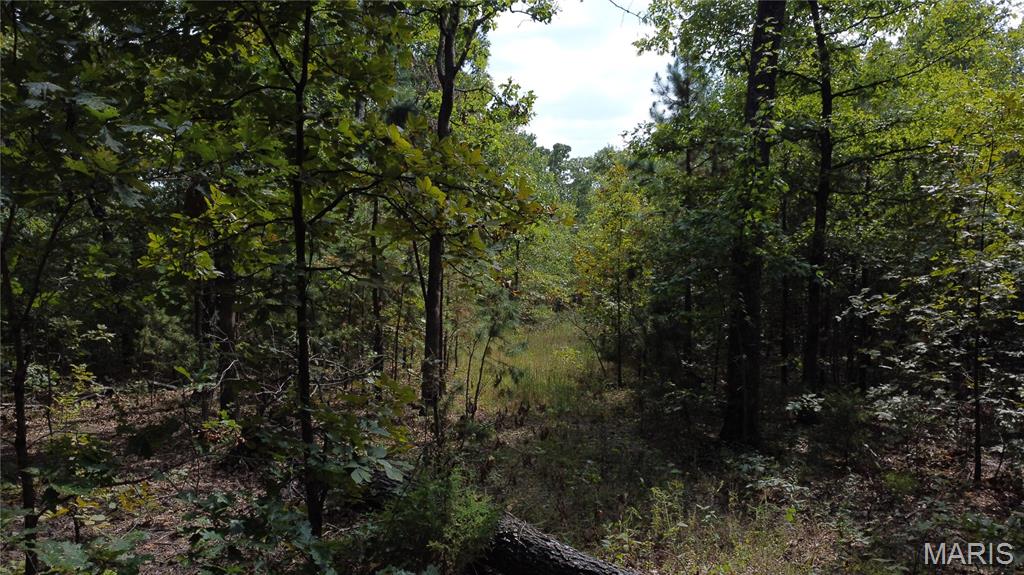 10255 Squaw Creek Rd