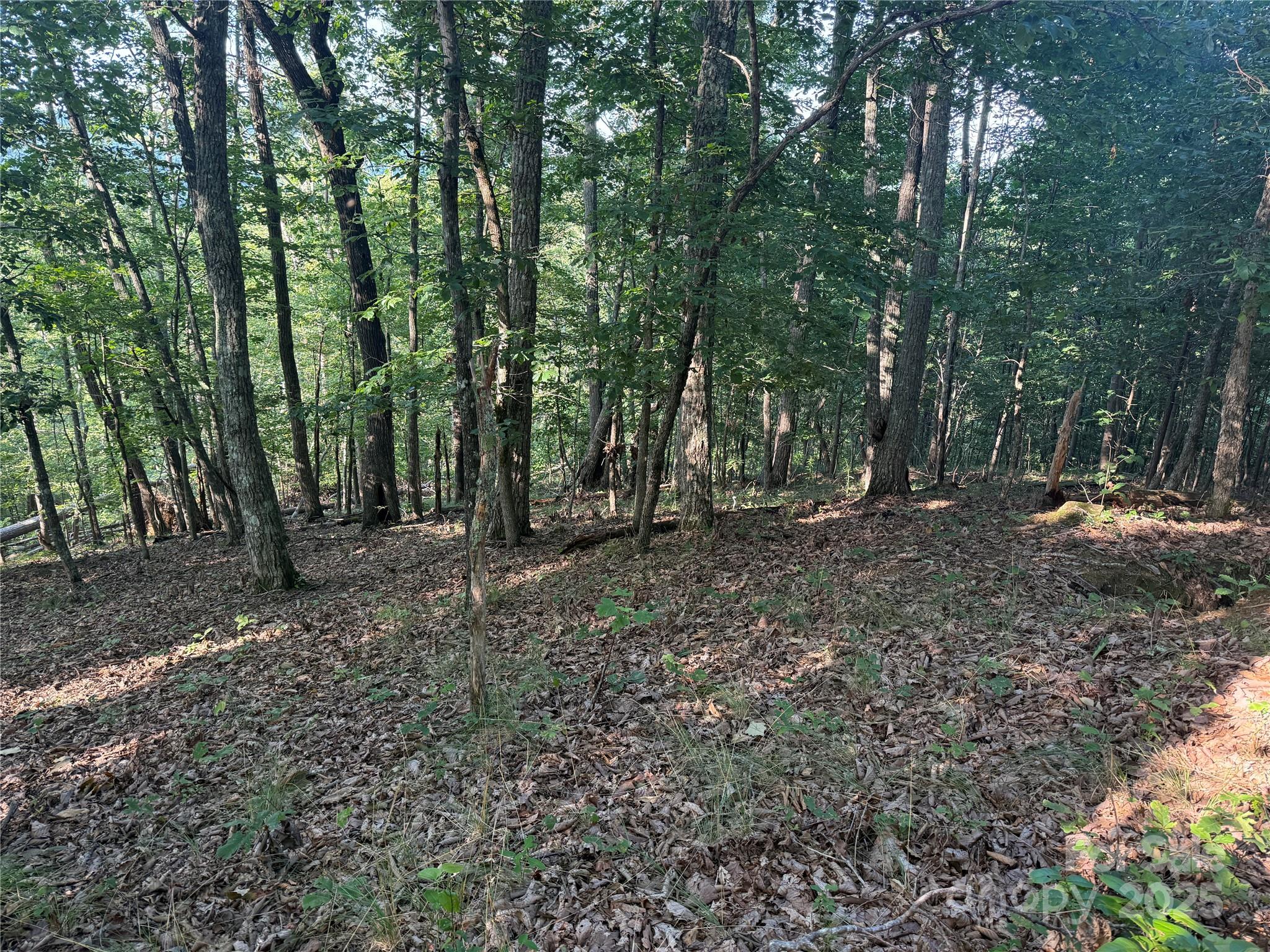 Lot 333 Scenic Vista Drive 333