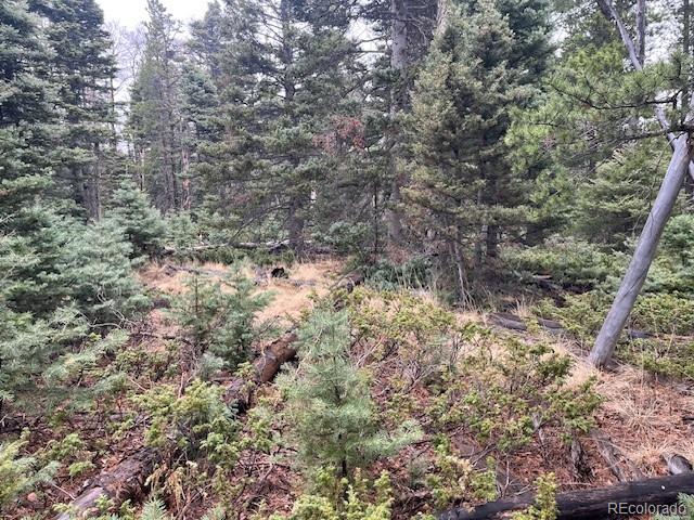Lot 3091 Sterenson Place