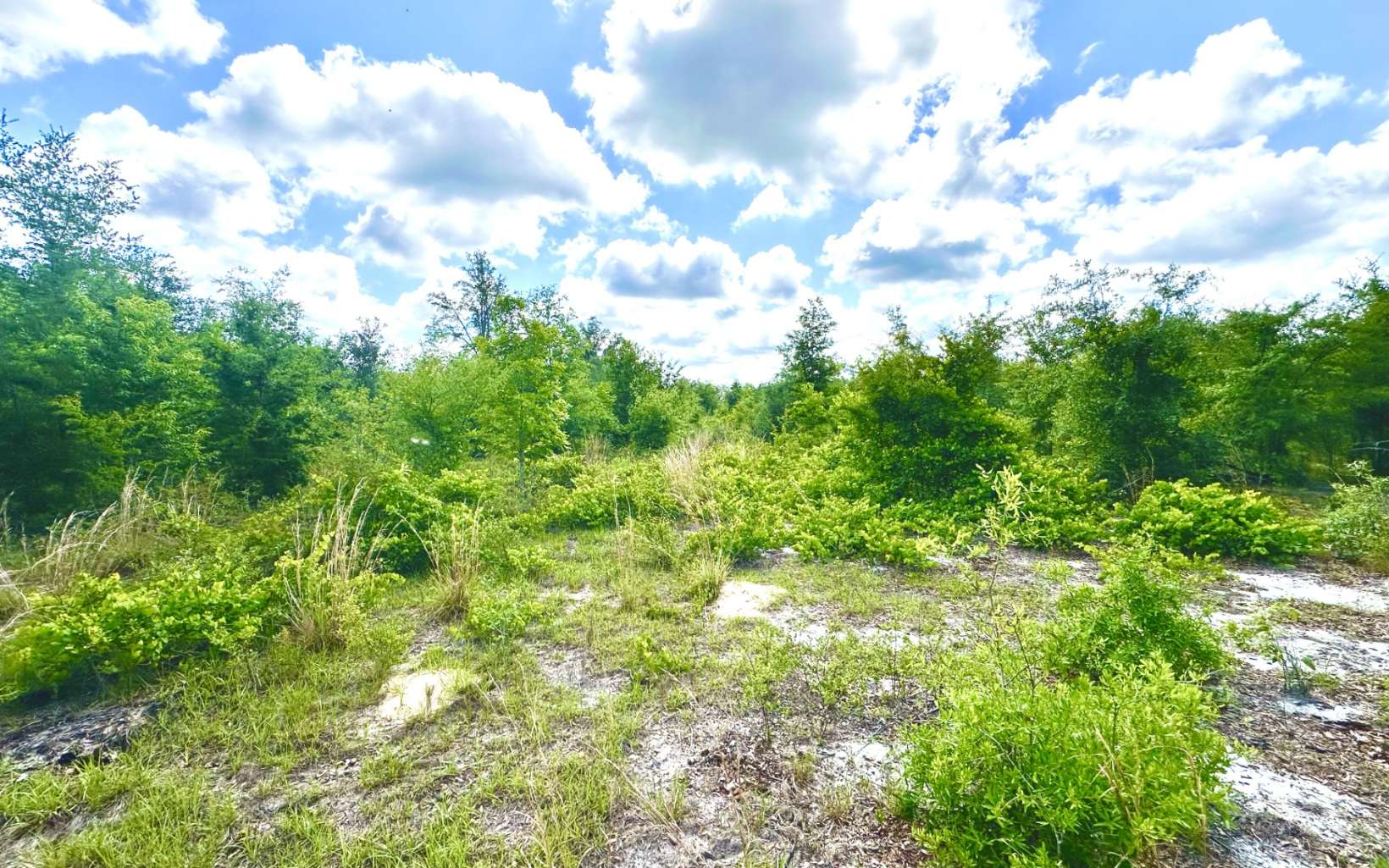 94 +/- AC OF GORGEOUS PROPERTY READY TO BE THE NEW HOME FOR YOUR FARM FOR ONLY $650,000!!! This type property is getting harder and harder to find. There is a creek that runs through the center of this property which is loaded with large majestic Live Oak trees. This creek is home to deer, turkeys, hogs, ducks, and any other FL critter you may desire to hunt or just enjoy watching. Most of this acreage can be taken back into pasture with a little elbow grease and some capital. 4-5 yr old scrub oaks cover approximately 60 acres of the 94 (ESTIMATE ONLY FROM AERIAL!!!---CONFIRM YOURSELF w DRONE BY REQUEST OR RIDE SIDE BY SIDE (also available by request). This parcel has a 30' entrance and is set off of CR 412 to provide the privacy most farms desire to "get off of main highways" with their animals. It's tucked away between a dairy farm and 2 center pivots to ensure this property should remain in the agricultural setting for many many years to come. The entrance currently isn't cleared but can be if needed. Call or text today as this property won't last long.