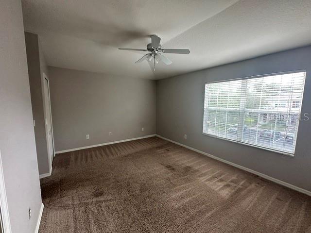 15723 Fishhawk Falls Drive