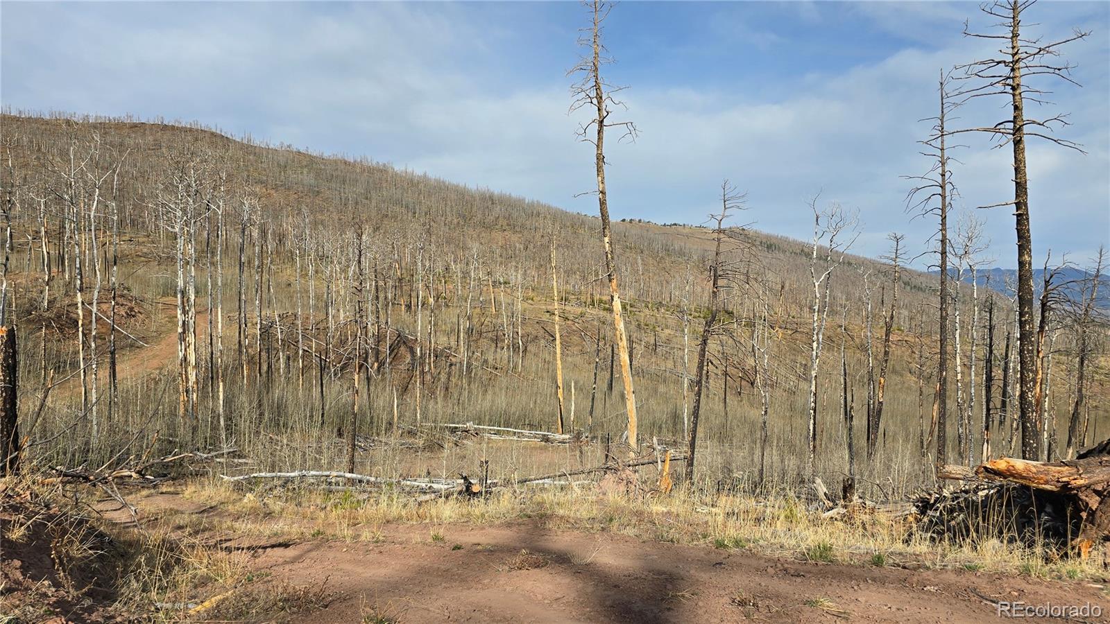 Lot 880 Slaoui Place