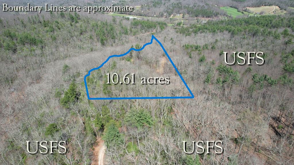 Tucked away in the heart of the North Georgia Mountains, this is more than just land—it's a place to breathe, unwind, and truly get away from it all on 10.61 acres. Nestled in the coveted Owltown area of Blairsville and bordering National Forest, this rare property offers a level of privacy and natural beauty that's becoming nearly impossible to find. A winding driveway leads you through the landscape to multiple homesites, each offering its own unique setting—perfect for creating a legacy property or a private family retreat with space for everyone to gather, yet room to spread out maintaining a sense of seclusion. Flat, usable areas make it easy to bring your RV or camper and start enjoying the property right away, while underground electricity, a well and septic system at the primary homesite gives you a head start on building your dream. Enjoy the natural beauty of a spring-fed pond, a gentle branch, and stunning mountain views, all surrounded by mature Mountain Laurels and Rhododendrons. Every inch of this property invites you to slow down and reconnect with nature. Just minutes from Brasstown Bald, Lake Nottely, the Appalachian Trail, countless waterfalls and hiking trails, adventure is always within reach and yet you may find it hard to leave the peace and quiet of your own mountain sanctuary. This isn't just a property—it's a place where memories are made, traditions begin, and life feels a little simpler.