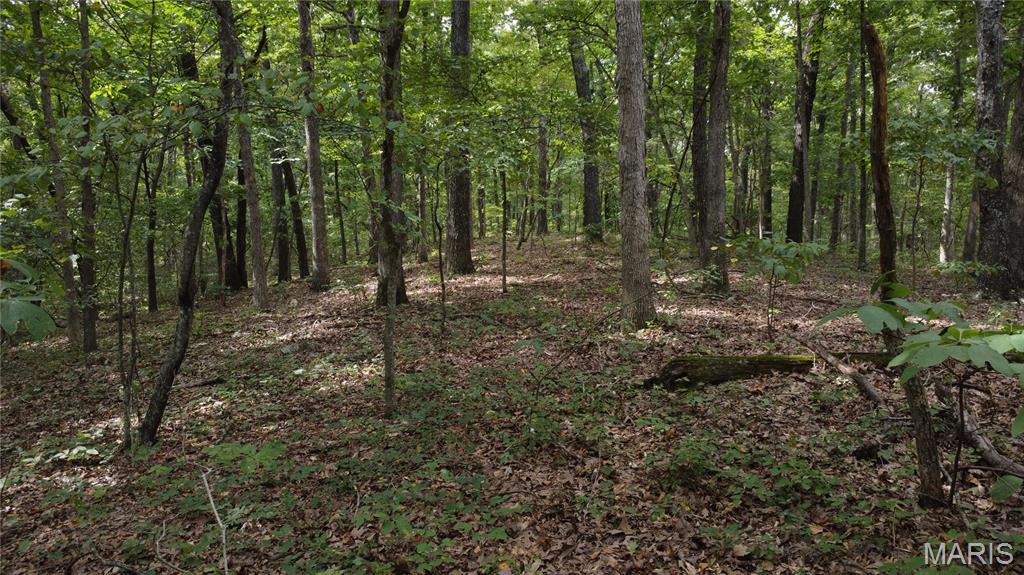 10223 San Juan Trail